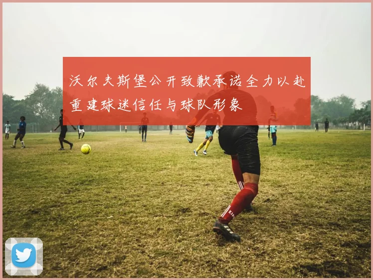 沃尔夫斯堡公开致歉承诺全力以赴重建球迷信任与球队形象